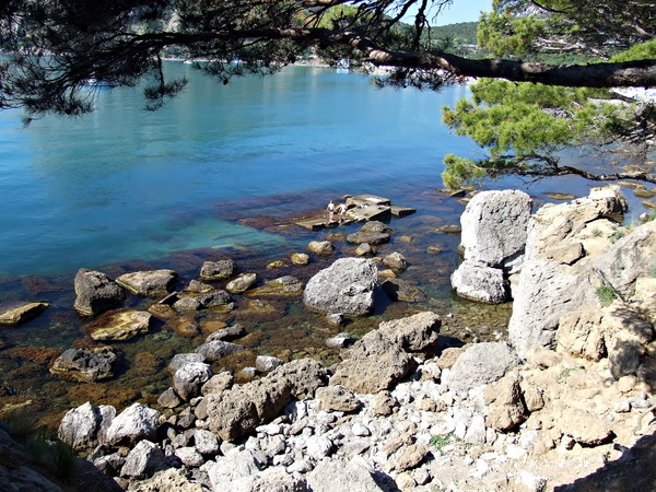 Умиротворение Нового Света