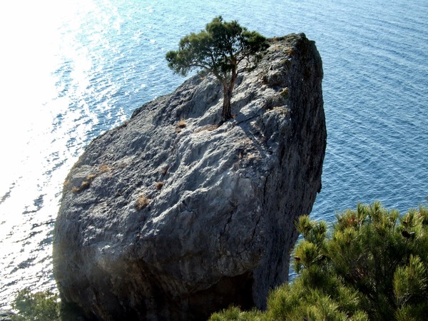 Умиротворение Нового Света