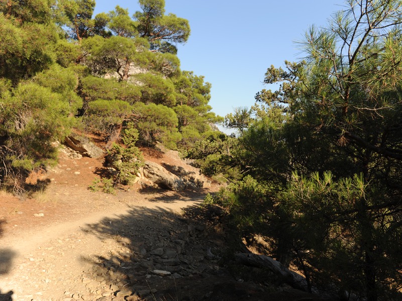 Прогулка к источнику святой Анастасии в Новом Свете