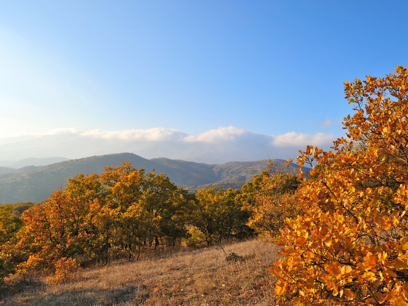 Едем на отдых в Крым, в Зеленогорье.