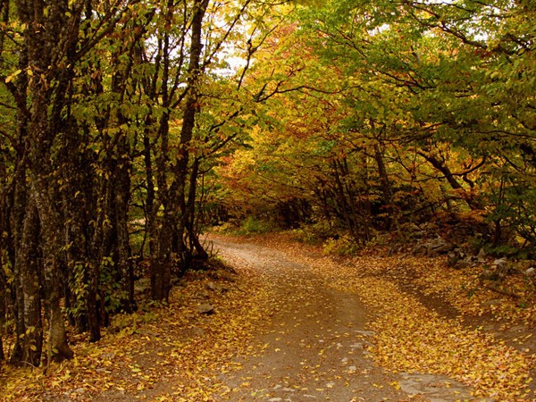 Осень в Крыму в горах