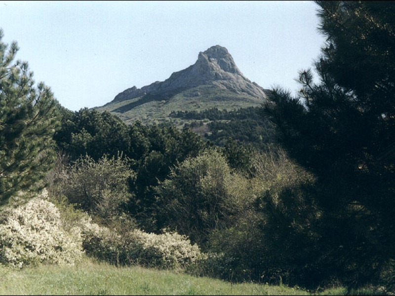 Зеленогорье - скала Свидание