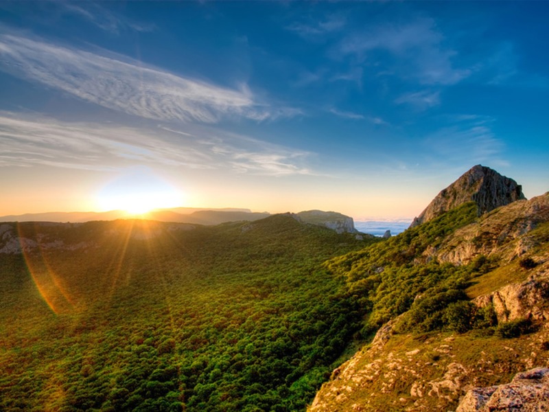 Винные туры в Крыму