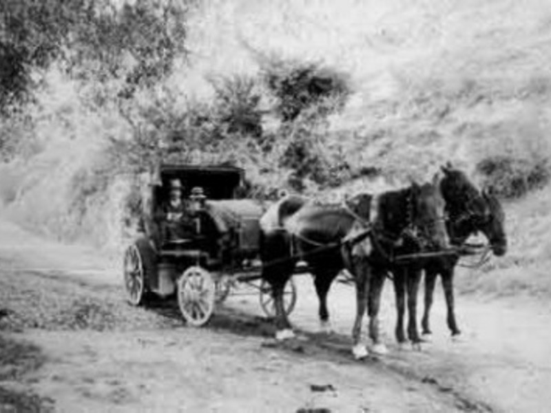 Как доехать в Зеленогорье из Симферополя и Феодосии