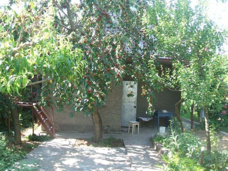 Частный сектор в Новом свете