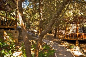 Жилье Веселая Скорпена в Новом Свете - 3