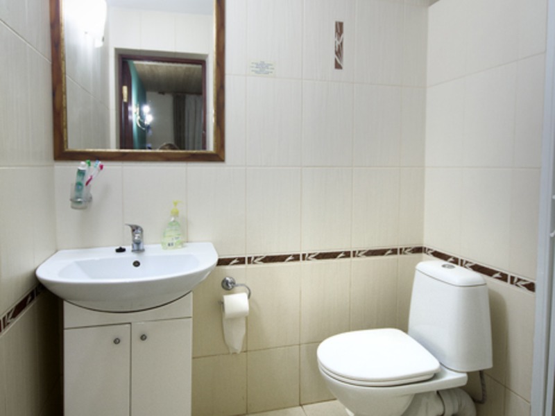 Гостиница "Золотой Теленок" в Зеленогорье - 4