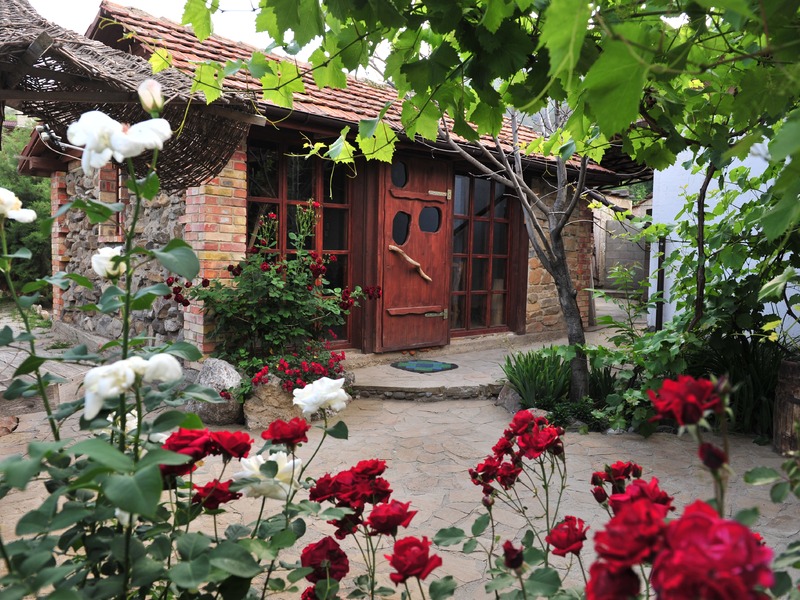 Гостиница "Золотой Теленок" в Зеленогорье - 30