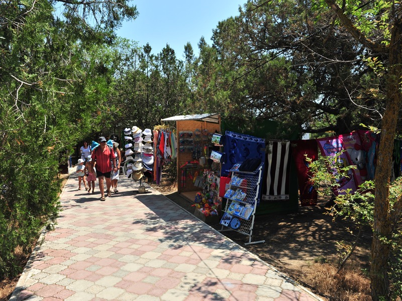 Поселок Новый Свет - 34