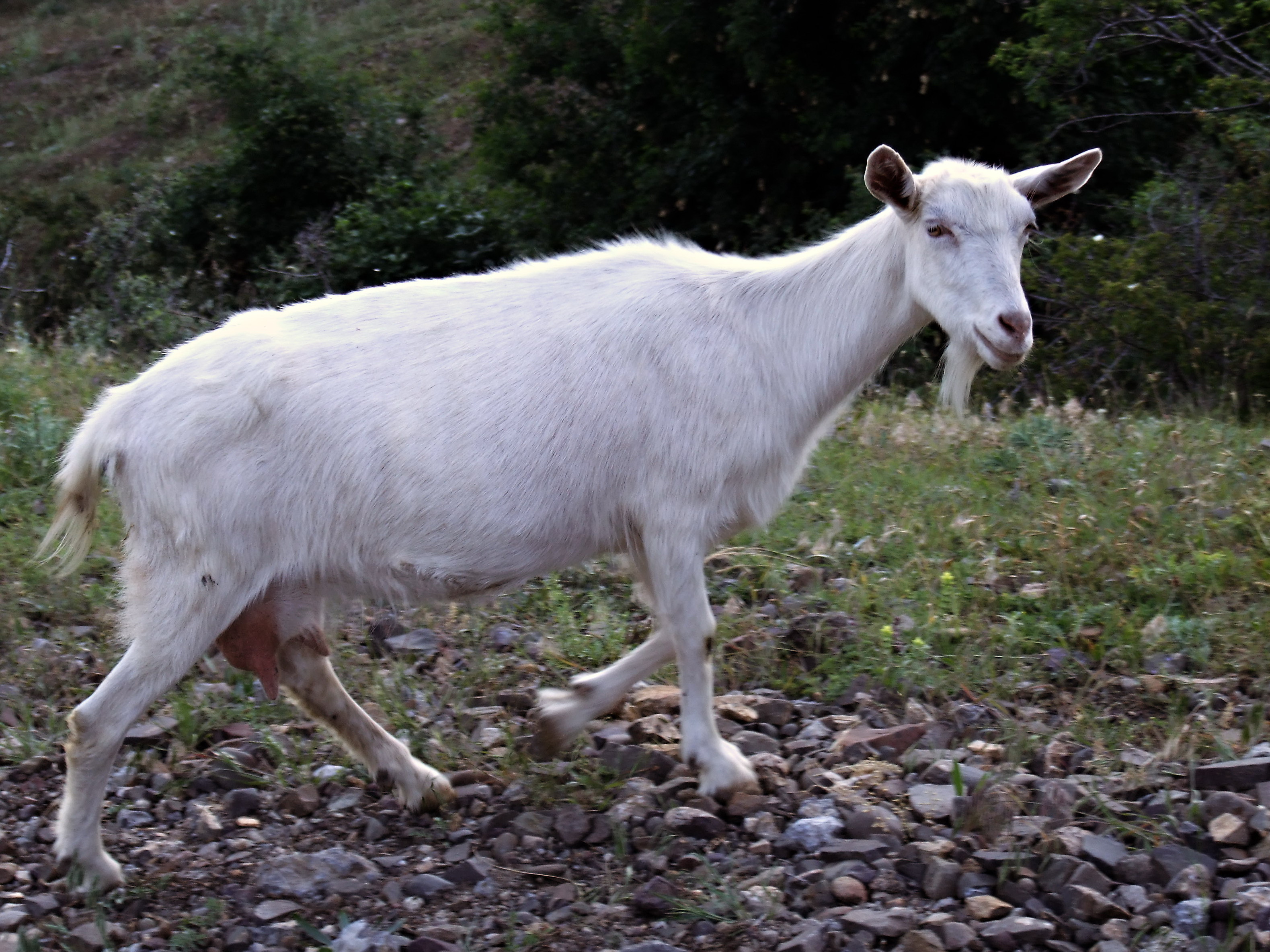 Зеленогорье зимой и осенью - 1
