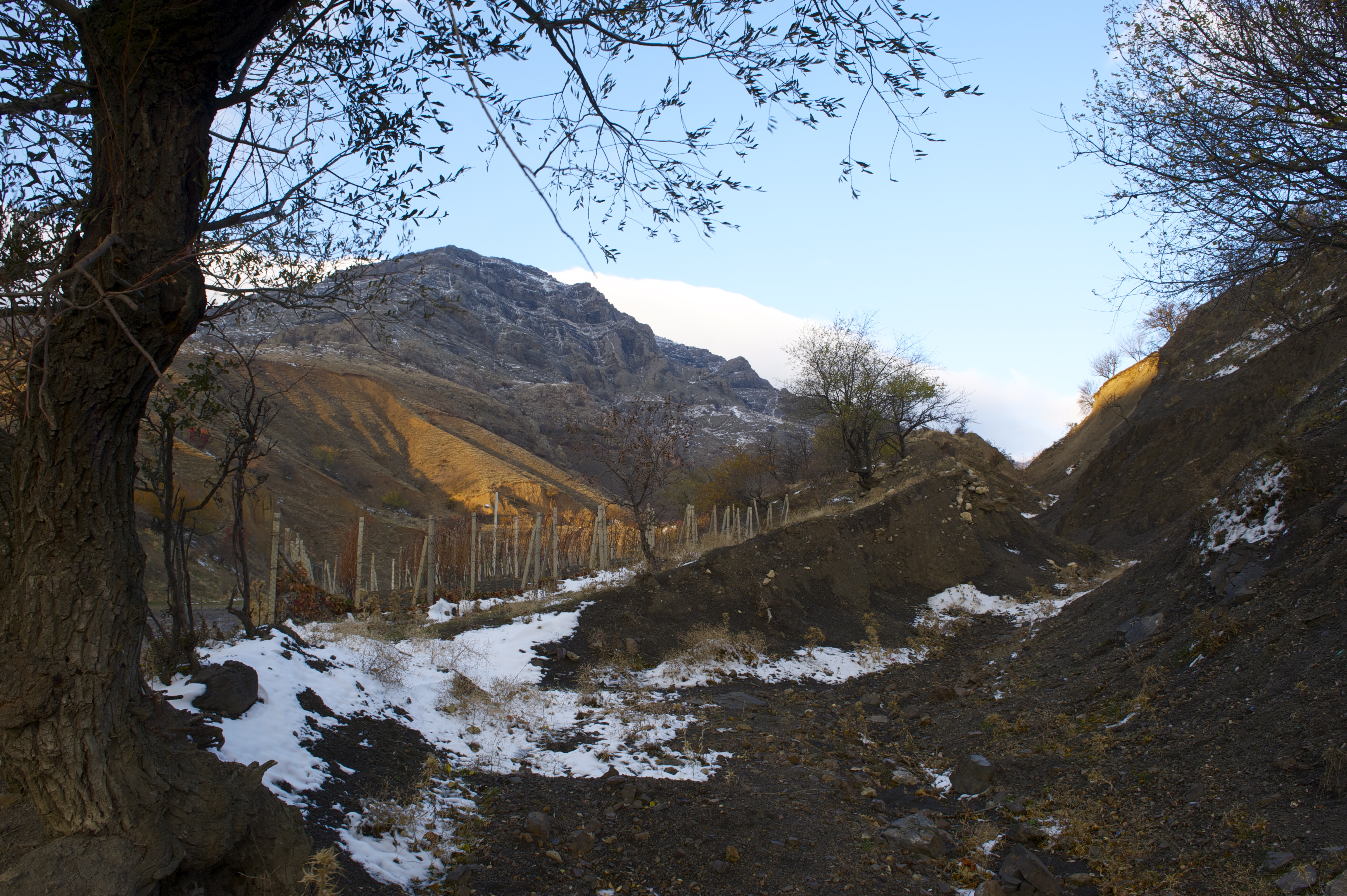 Зеленогорье зимой и осенью - 6