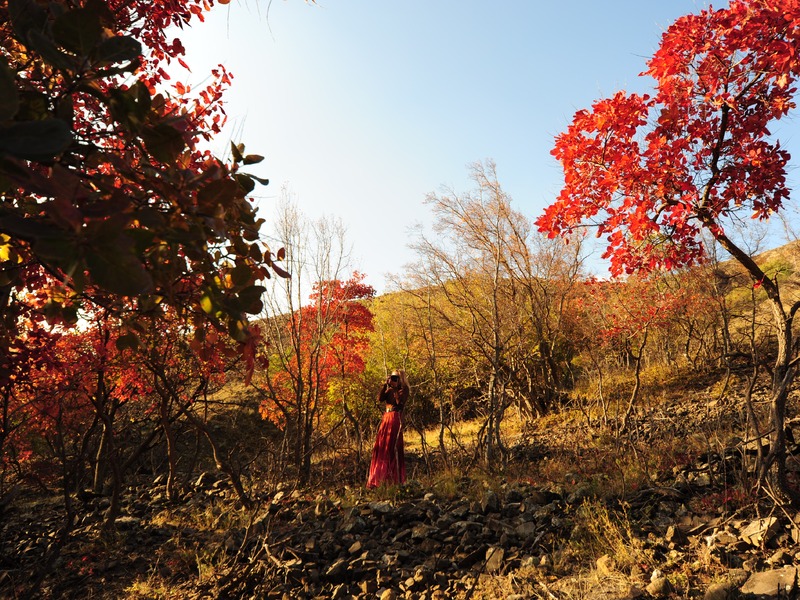 Зеленогорье зимой и осенью - 7