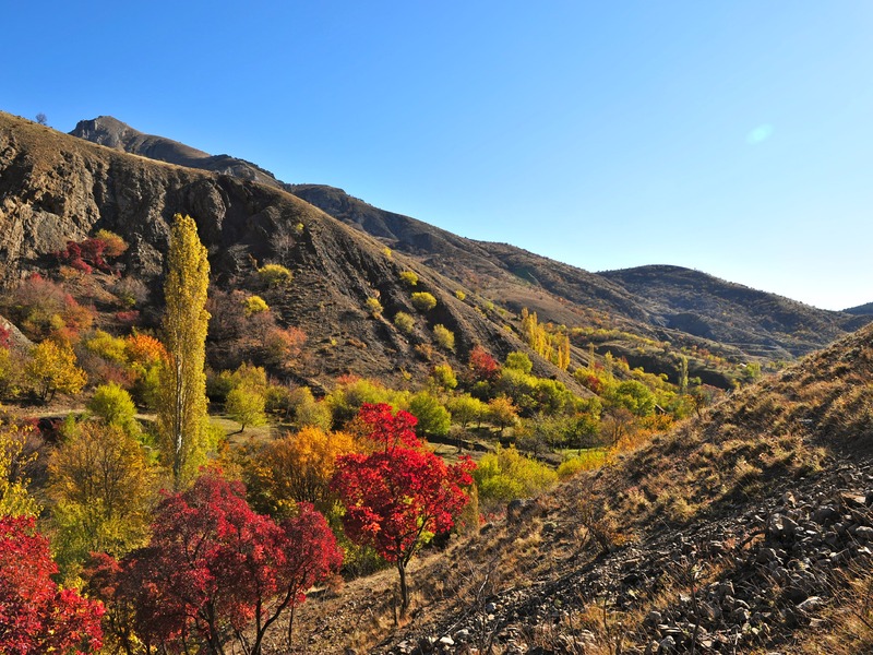 Зеленогорье зимой и осенью - 8