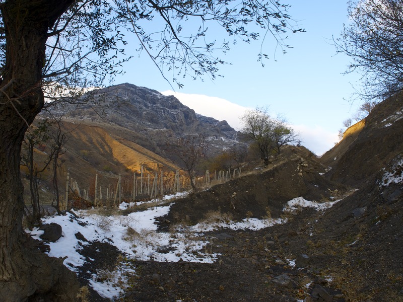 Зеленогорье зимой и осенью - 13