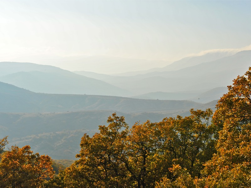 Зеленогорье зимой и осенью - 14