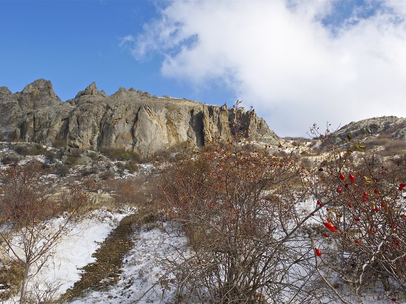 Зеленогорье зимой и осенью - 15