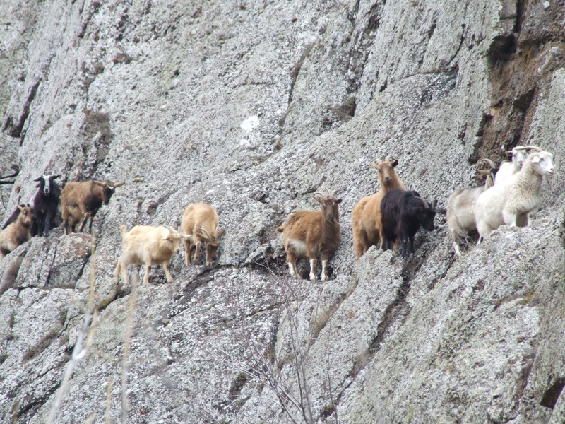Зеленогорье зимой и осенью - 18