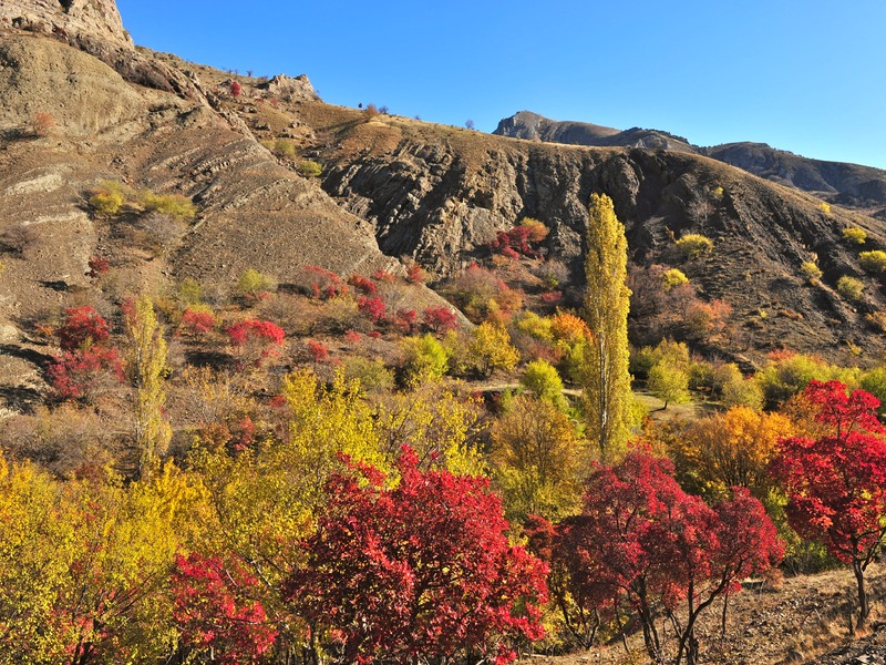 Зеленогорье зимой и осенью - 29