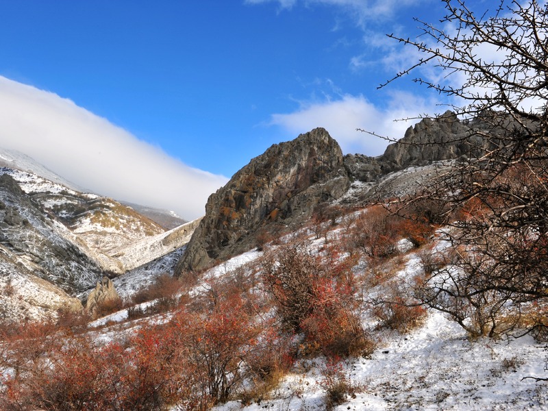 Зеленогорье зимой и осенью - 33