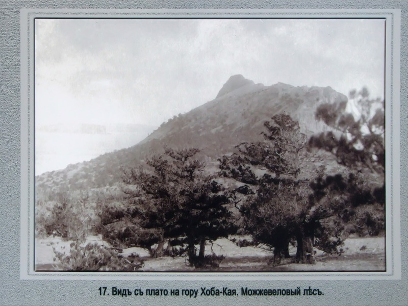 Исторические фотографии Нового Света - 16