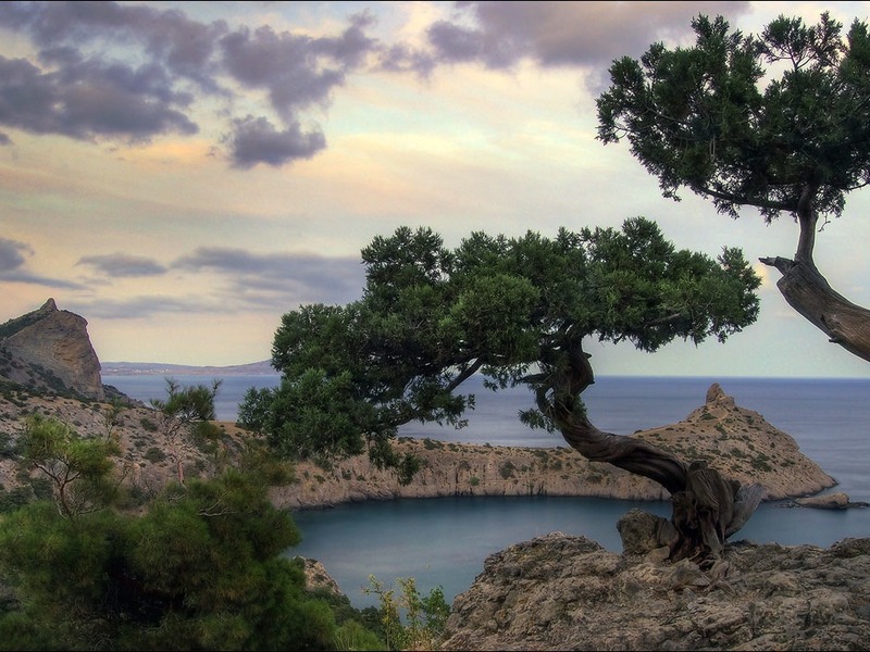 Новый  Свет - жемчужина Крыма - 10