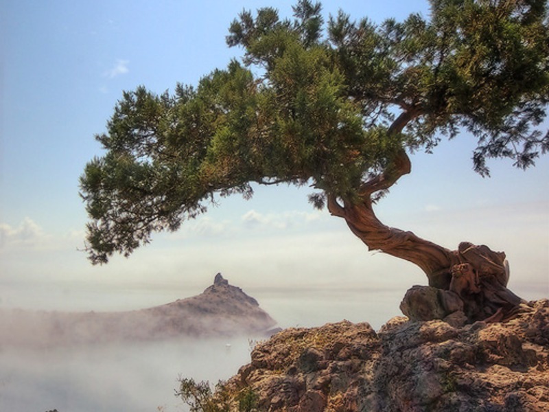 Новый  Свет - жемчужина Крыма - 14