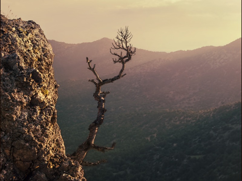 Новый  Свет - жемчужина Крыма - 17