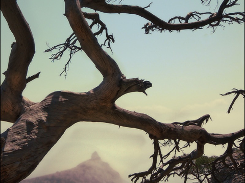 Новый  Свет - жемчужина Крыма - 19