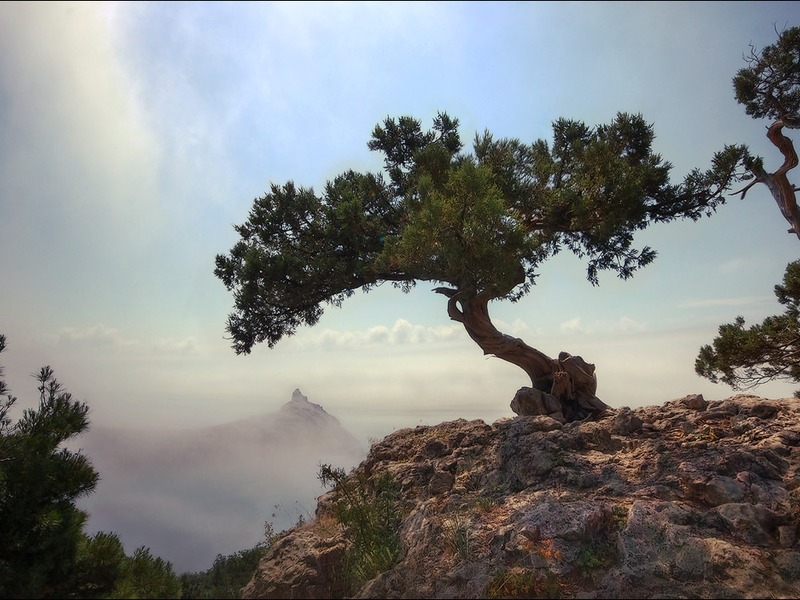 Новый  Свет - жемчужина Крыма - 22