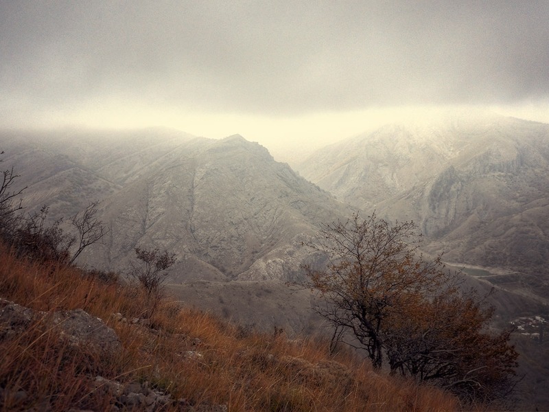 Зеленогорье, природа - 1