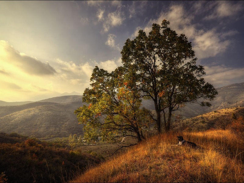 Зеленогорье, природа - 2