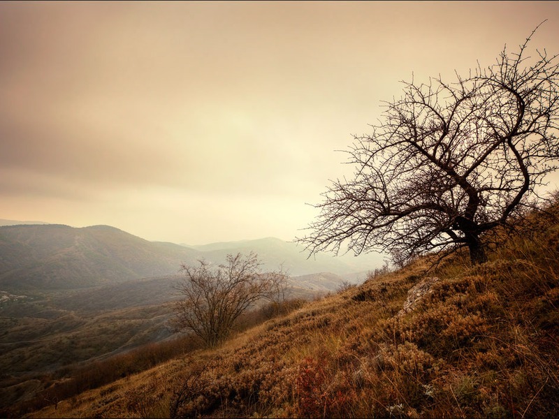 Зеленогорье, природа - 5