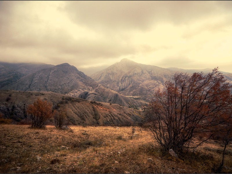 Зеленогорье, природа - 8