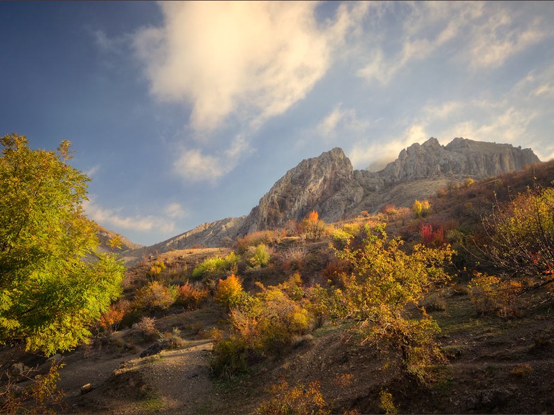 Зеленогорье, природа - 11