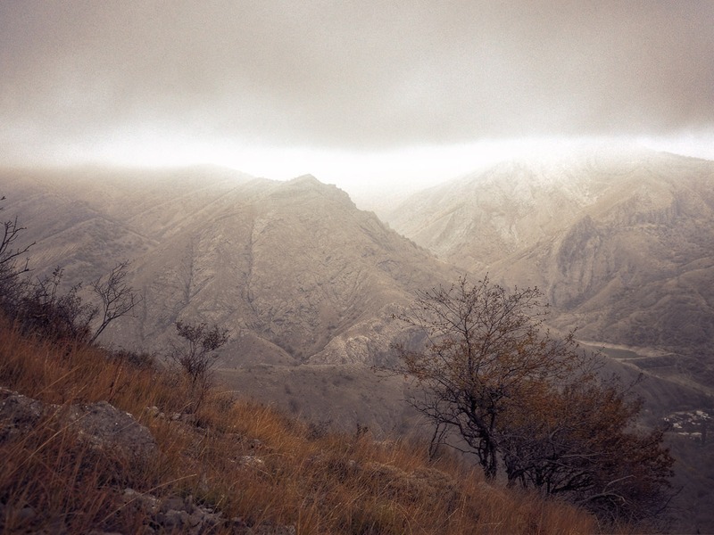 Зеленогорье, природа - 16