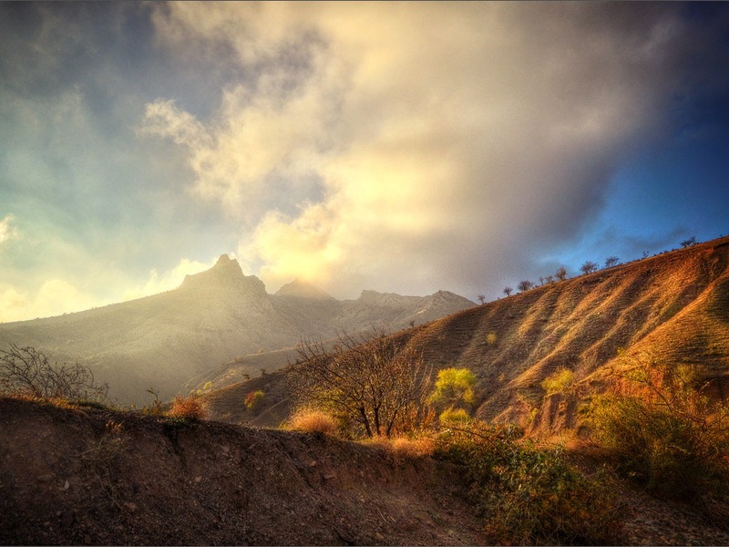 Зеленогорье, природа - 18