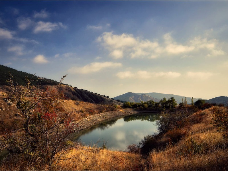 Зеленогорье, природа - 20