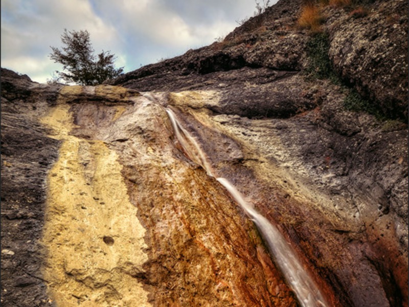 Зеленогорье, природа - 21