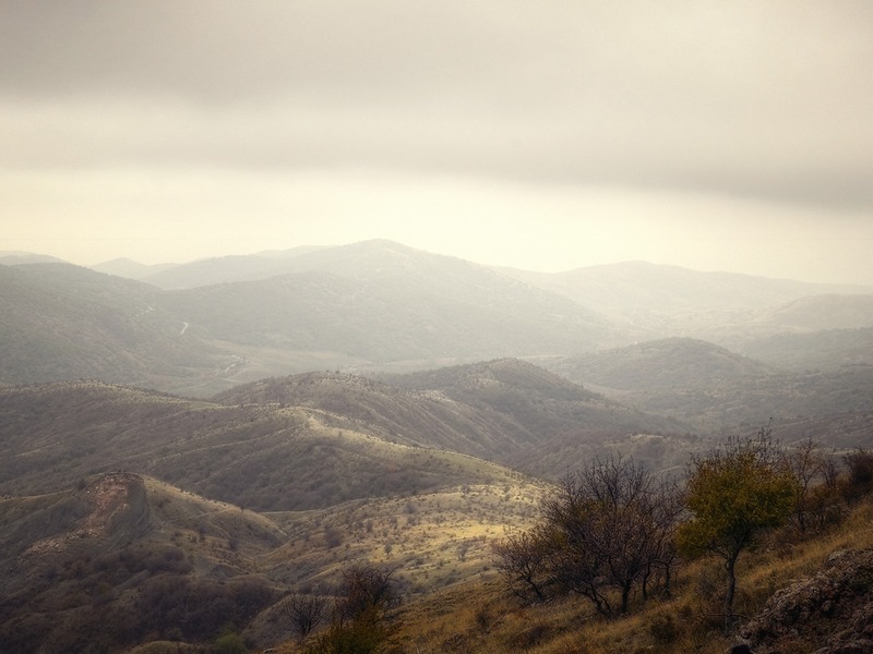 Зеленогорье, природа - 22