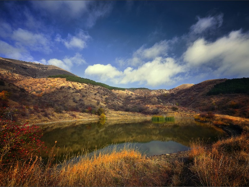 Зеленогорье, природа - 23