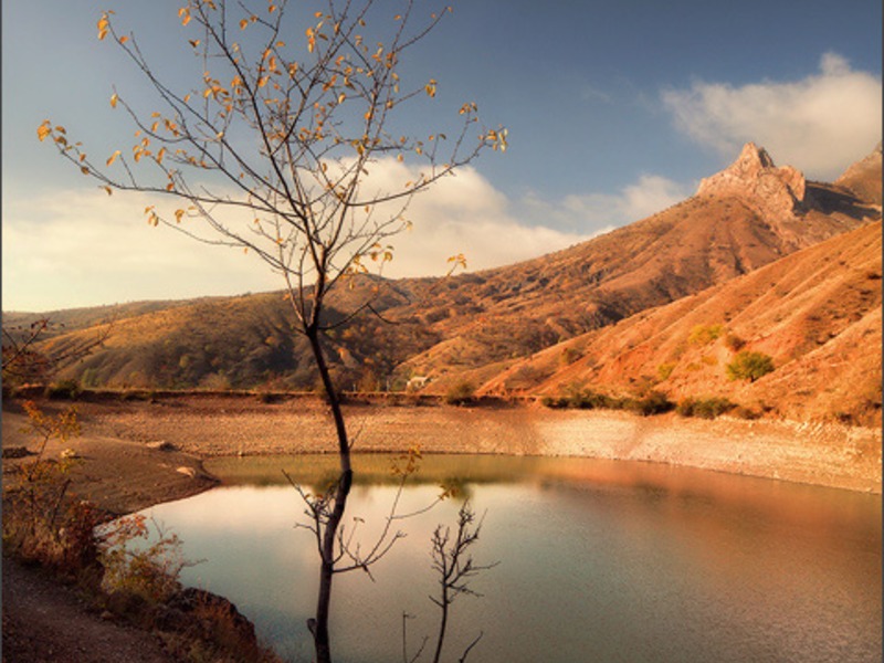 Зеленогорье, природа - 26